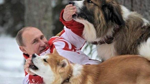 Vladimir-Putin-puppies-have-a-snow-day-together-in-Kremlin-photo-op