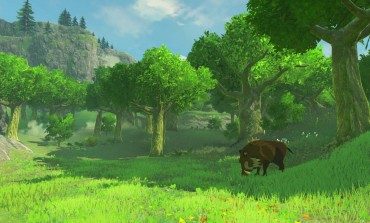 Xenoblade Developer Helping With Legend of Zelda: Breathe of the Wild