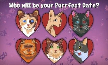 Purrfect Date Is Now On Steam