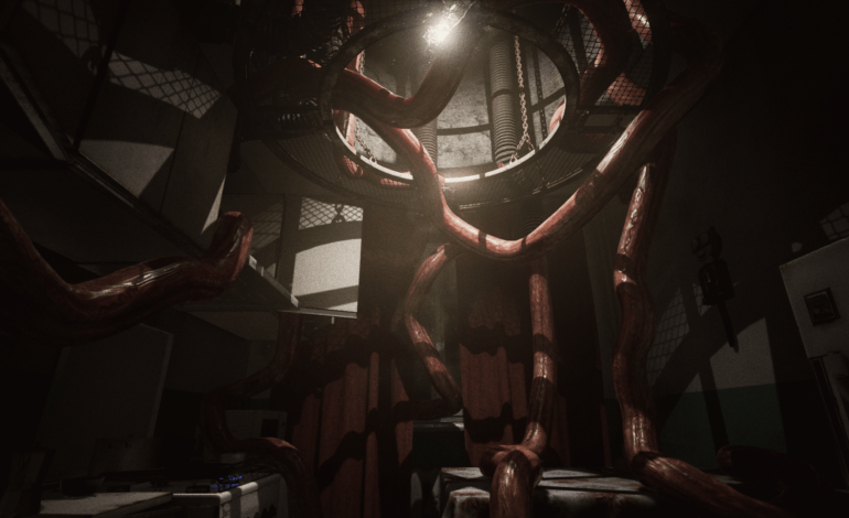 Twin Soul: A Developing Co-op Horror Game