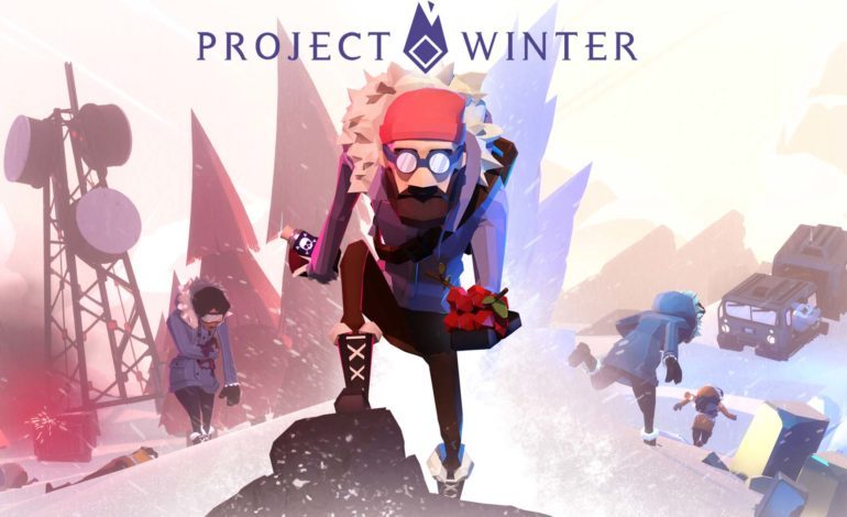 Project Winter Review