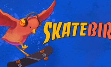 SkateBIRD Review