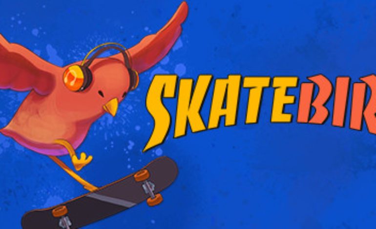 SkateBIRD Review