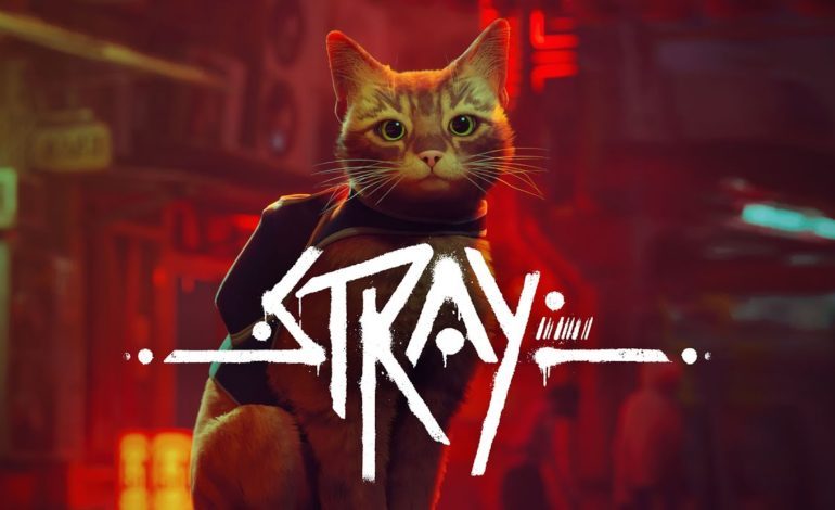 Stray To Become An Animated Movie Coined As The First ‘Hopepunk’ Film
