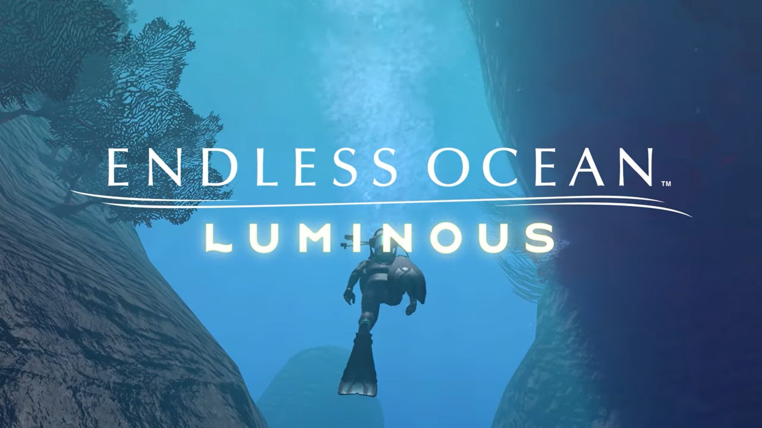 A diver in a canyon underwater. Text reads 'Endless Ocean: Luminous'