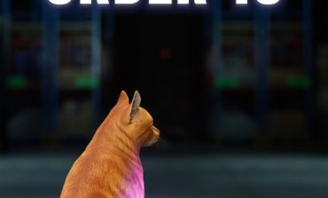 Order 13 Review