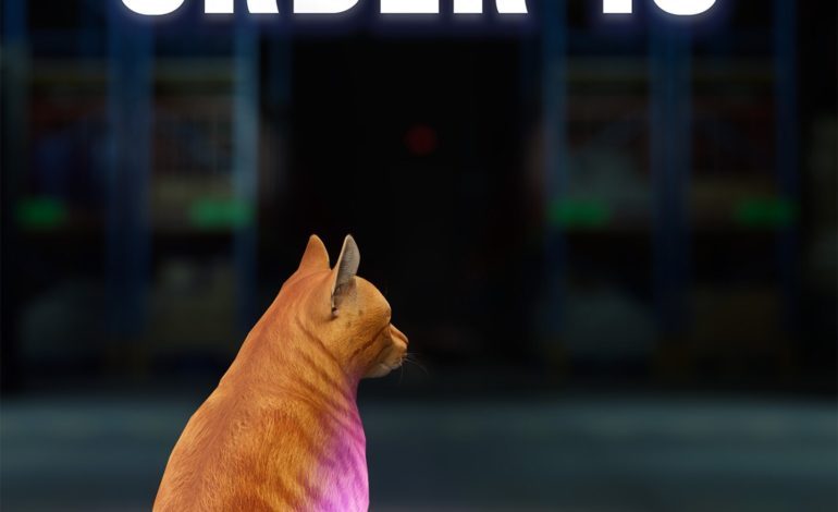 Order 13 Review