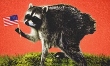 Internet Sensation Jimothy the Raccoon Spotted Lurking in Popular Video Games