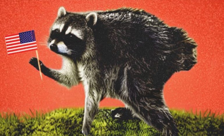 Internet Sensation Jimothy the Raccoon Spotted Lurking in Popular Video Games